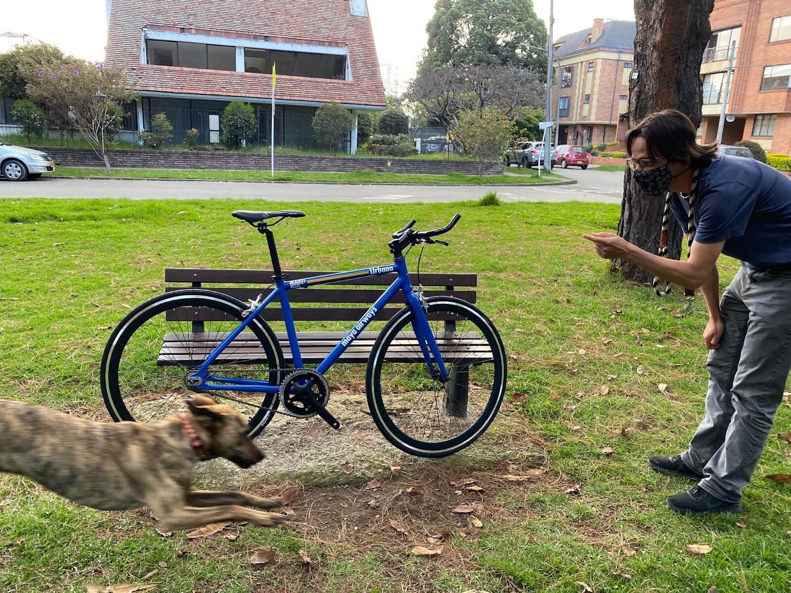 foto pardo bici maya
